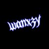 wanxx_zy