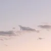 ._24474