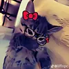 cathyrubi