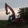 pionbee5