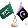 zohaibahmad_295
