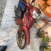 vega_gakberes