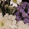 sheza_691