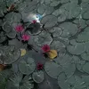 onyourd_ane
