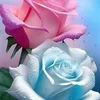 user786746561092