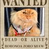 Zoro Miaw