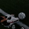 heber_305