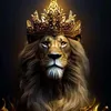 user8271123509351