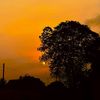 little_misssunset