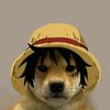 dog_luffy_