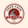 kodaybroiler._22