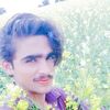 shankarjanshankar1