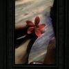 nupur4898