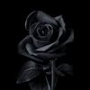 user18597702625634