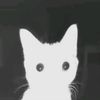 _.fxnr._