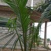 user4320933253382