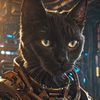mr_gato_negro