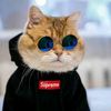 gakmaentiktok.10