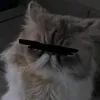 m_t_h17