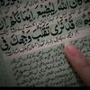 nailashah3320