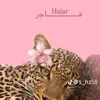 hajer_mazori26