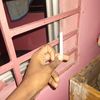 nafiz34567