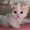 magdalenaaww_