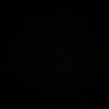fukc_yerelin