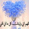 user67599585249443