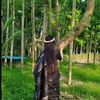rafi1233456788