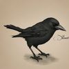crow.draws.a.bit