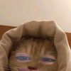 kylamanoy_