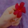 asifa_khan456