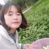 phuonglanh227