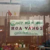 hoa_vang_02
