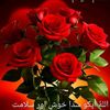 naseerali01990