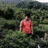 putratanjoeng02