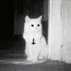 ast00x