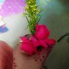 user7349531055144