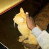 01_lenny01