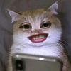 chatarinenicken07_