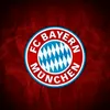 bayern_fan_12