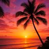 tropical.liife