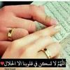 user4034075404538