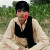 shakirshakir6000