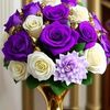 the_princess4648