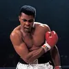 The Legendary Elite