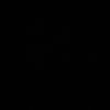 il_ns1