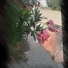 na_19.o
