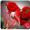 user6314800092035